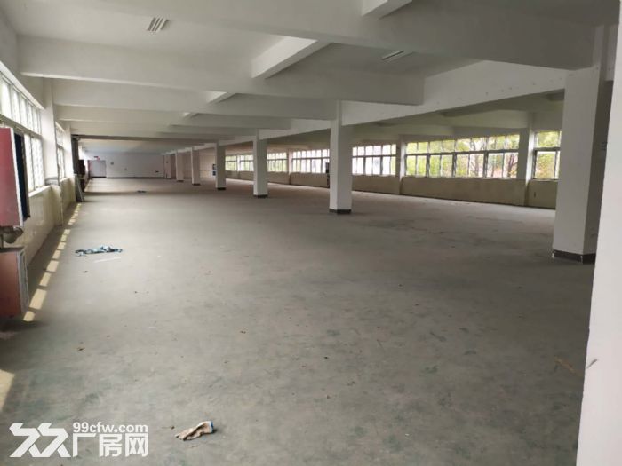桐乡市屠甸工业区3100平独门独院多层厂房可分租环境好低价出租！低价出租！-图1