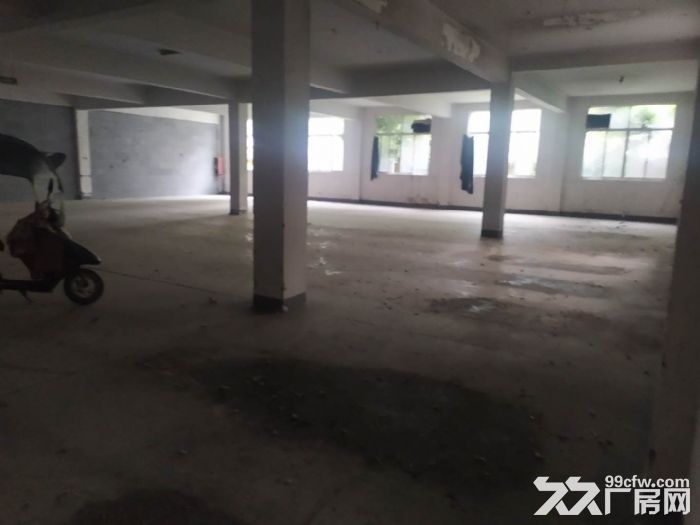 桐乡市屠甸600平米标准厂房低价出租！低价出租！-图1