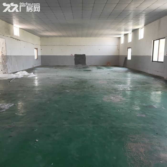桐乡市百桃镇独立院子厂房出租-图2