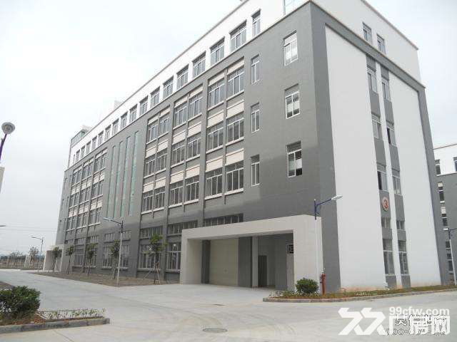 出租桐乡12000方一到五层全新标准厂房-图1