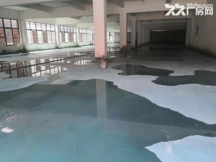 秀洲区高新区标准独门独院厂房仓库出租面积22000平米可分-图2