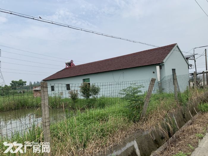 黄湾大临村乡下平房五间转让-图2