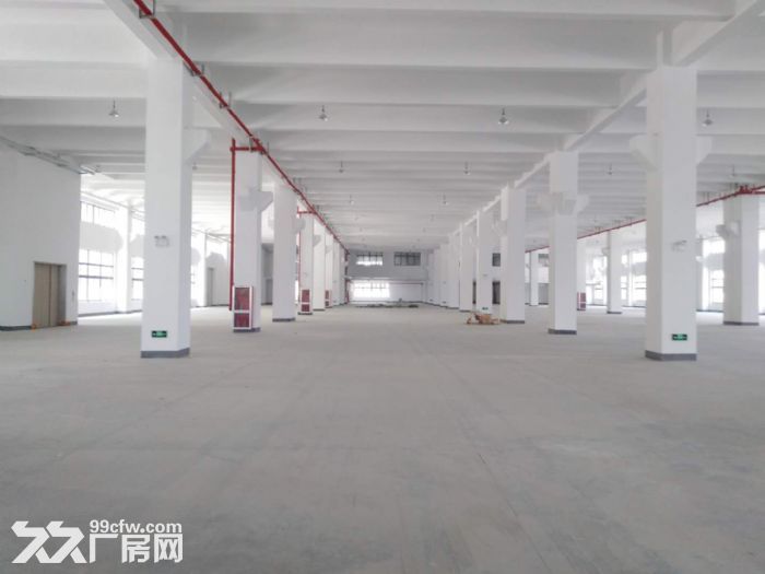 南湖大桥厂房出租6000平方-图1