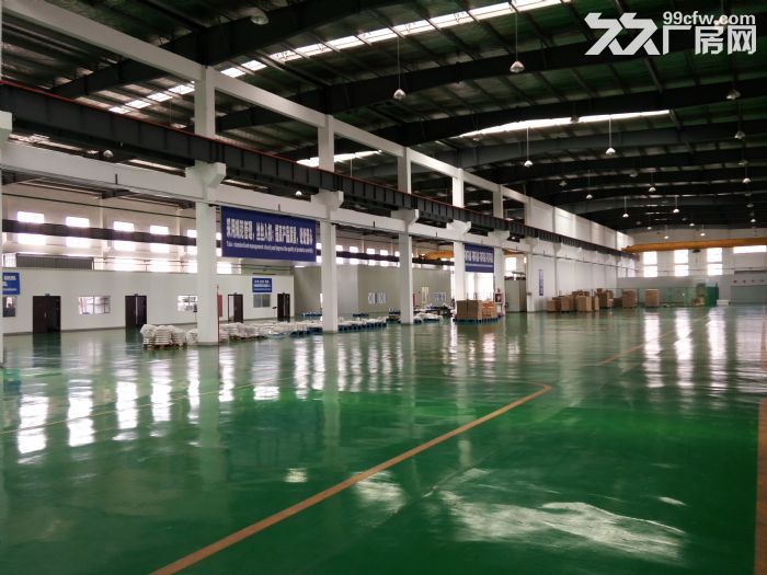 乍浦6000平方单层厂房仓库，高12米，可分租3000平-图1