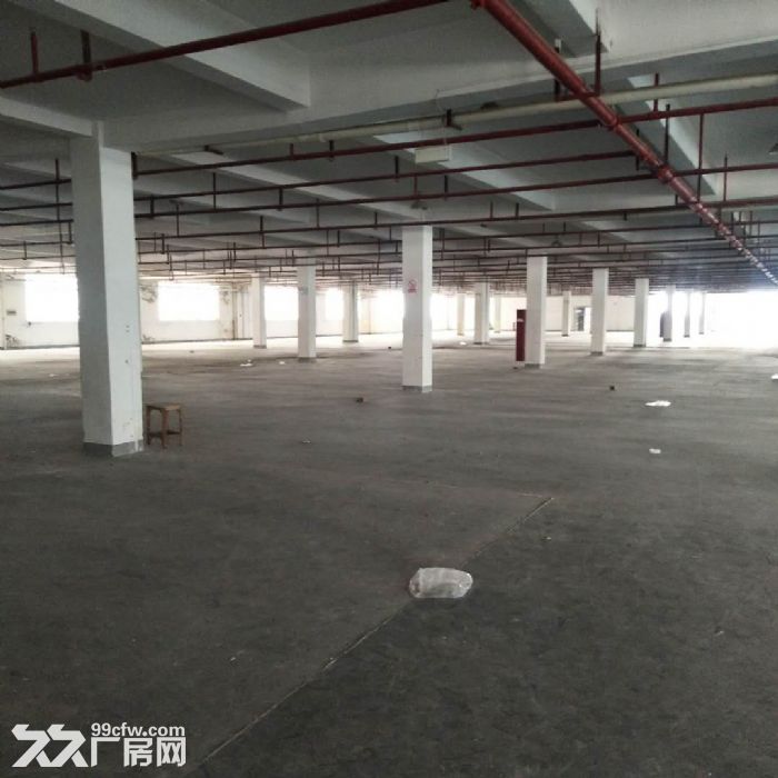嘉善惠民工业园3000方多层厂房出租可挂道具，家具-图1