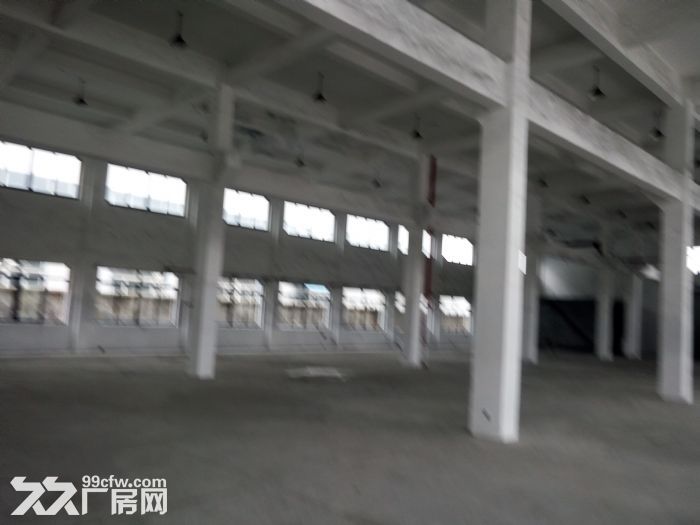 开发区1800平方一楼厂房仓库出租，高6米，500起租-图1
