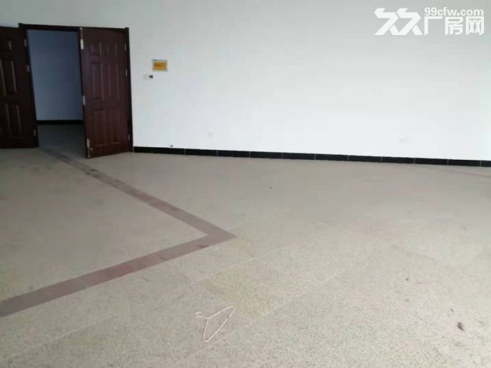 招商外贸企业，新埭洁城路500平，可协助办证有专项扶持政策-图1