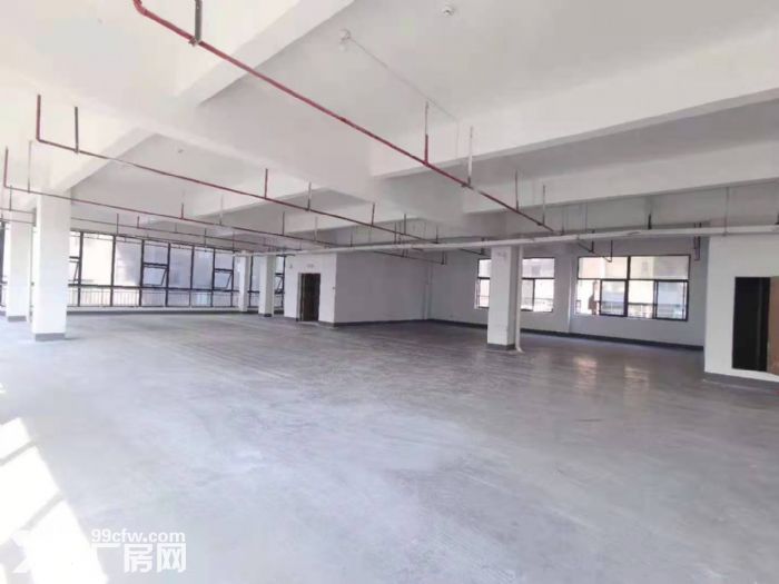 广陈镇标准厂房1楼650平独立门进出可做服装打样电商仓库等-图1