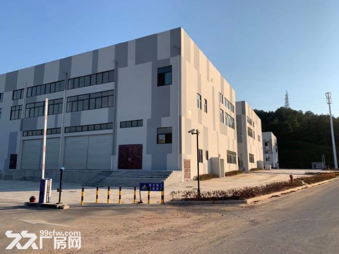 全新2400㎡厂房每间400−600可租单间-图4