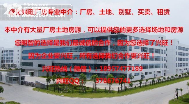 出租西坞白杜1&minus;2楼行车厂房6000平方-图2