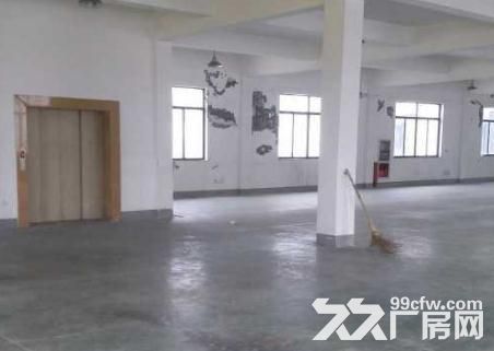 五乡一楼700平米框架厂房出租-图1