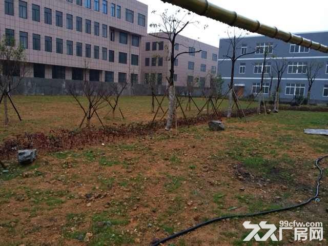 北仑春晓工业园区厂房出租-图5