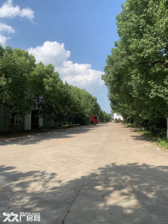 余姚牟山 产业园 标准厂房出租-图3