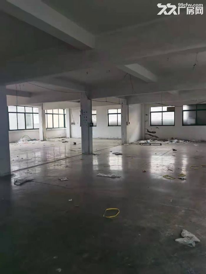 五乡329国道旁2楼400平框架厂房仓库出租-图3