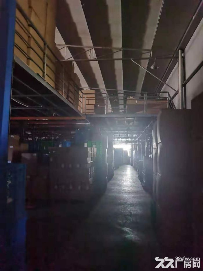 洞桥工业区一楼2800平厂房仓库出租-图4