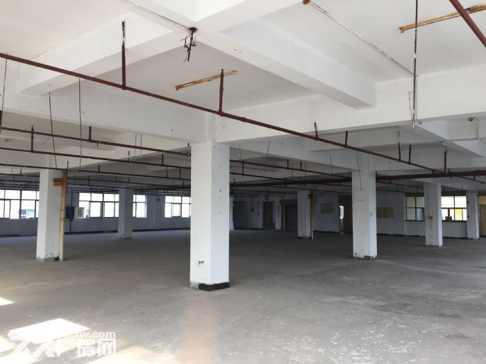 出租仙岩工业区1楼3000平方 层高5.8米，适合仓储，大路边，大车进出方便-图1