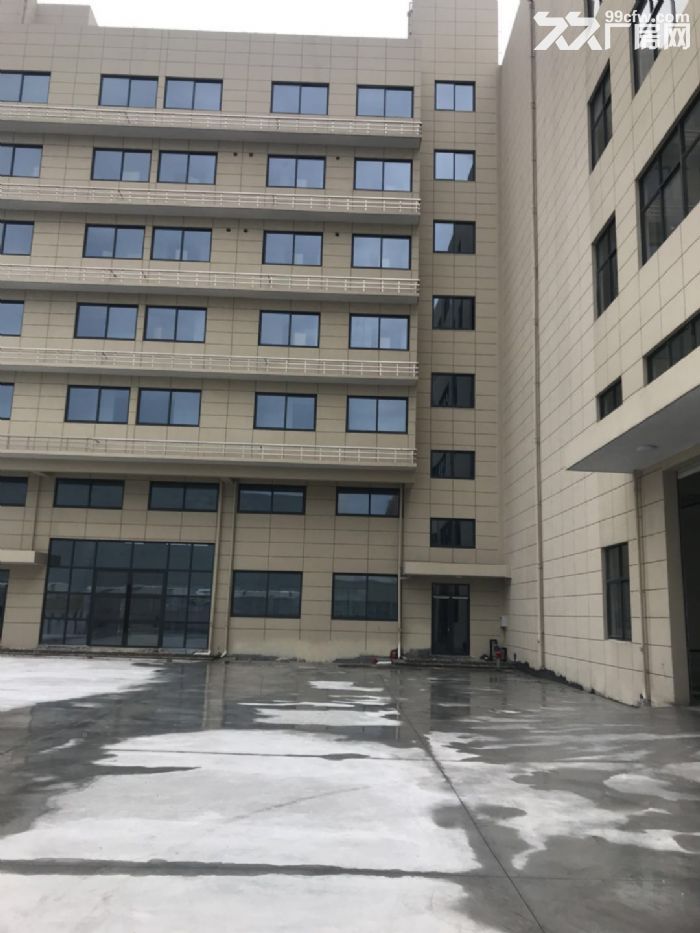 飞云工业区厂房2400平米出租适合五金机械汽摩配等-图3