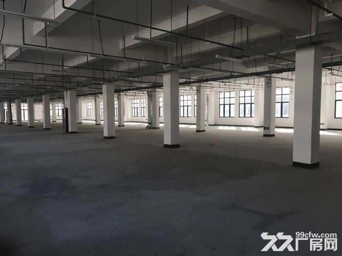 楼上800平，适合各行各业-图1