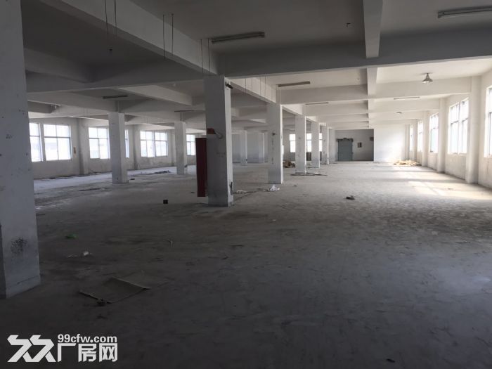 楼上2100㎡适合各种轻工行业电60电梯两吨-图1