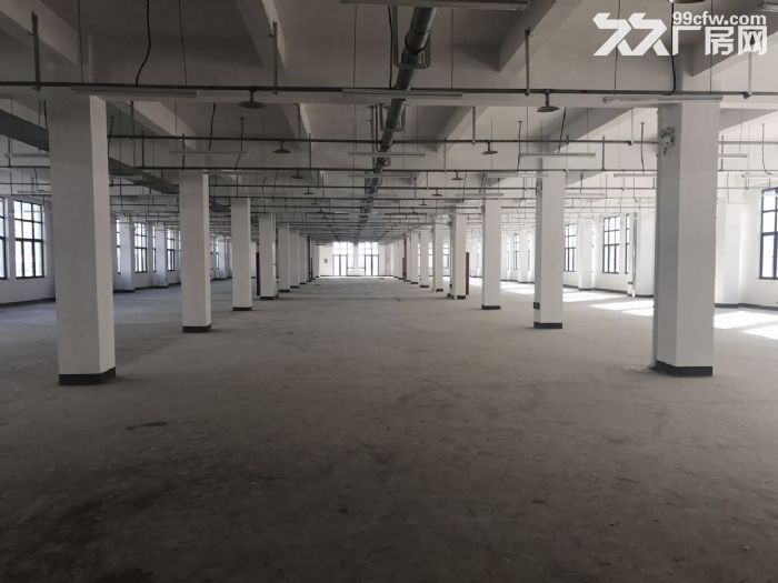 滨海重工厂房3楼4100平高5米18块，合适联系-图1