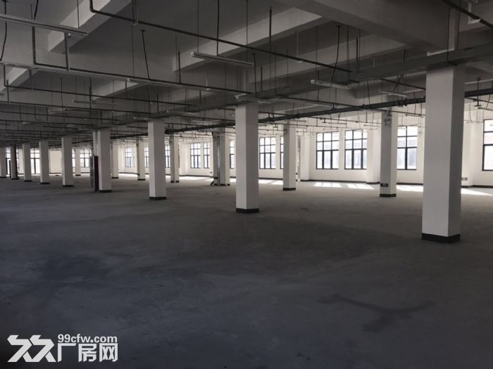 滨海楼上1800㎡电大适合小阀门注塑机开关小法兰小磨具均可-图1