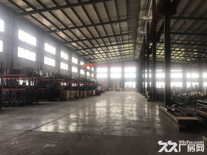 滨海工业区1楼1300彩钢13米高适合各行各业-图1