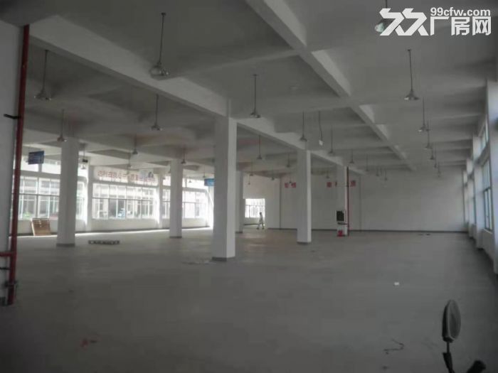 平阳鳌江标准厂房仓库出租-图1