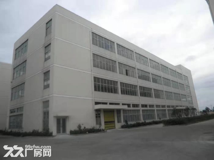平阳鳌江标准厂房仓库出租-图2