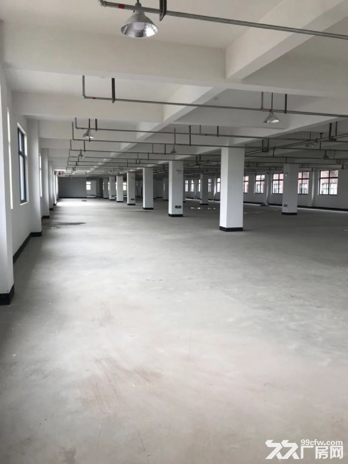 塘下北工业区厂房1500平米3000平米出租-图1