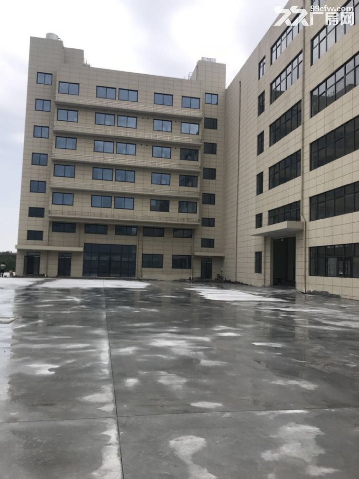 塘下北工业区厂房1500平米3000平米出租-图5