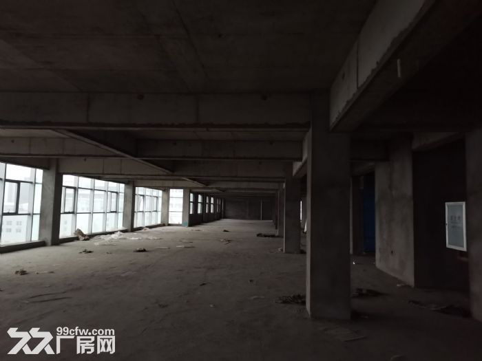 厂房出租龙湾滨海二十一路380平米，货梯2吨，电大，适合多行业-图3