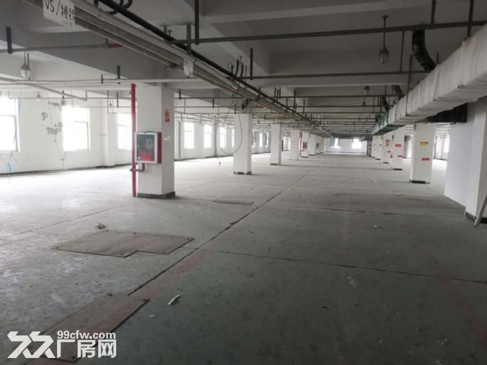 厂房出租龙湾金海1楼900平方，高5米，有行车，有货梯，电大，适合多行业-图1