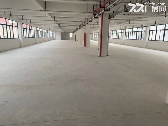 厂房出租龙湾滨海，6300平，适合五金，磨具锁注塑，汽配，卫浴，服装鞋，各行各业-图5