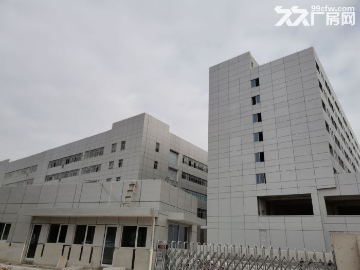 厂房出租龙湾滨海12路3300平米，大路边厂房漂亮，适合开关，小型数控车床，五金-图3