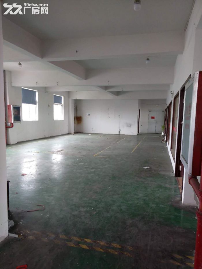 厂房出租龙湾滨海十五，一楼310平米，电大，有货梯，适合多行业-图1