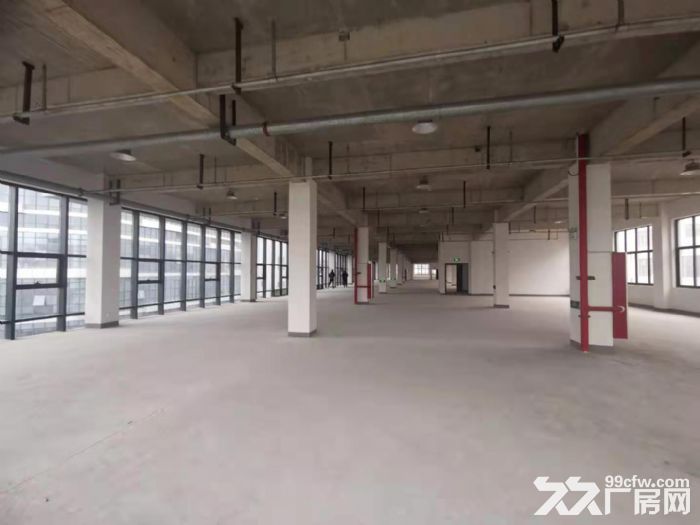 全新超大长厂房出租！商业中心位置，价格优惠！-图8