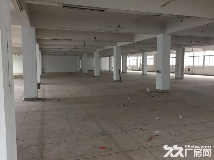 巨溪工业区标准厂房3500平方出租-图2