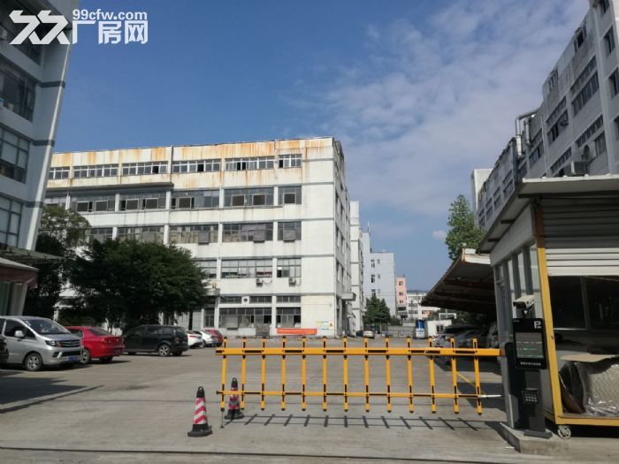 上汇工业区独门独院12000平方出租-图1