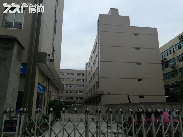 藤桥工业区3楼1700平方出租-图1