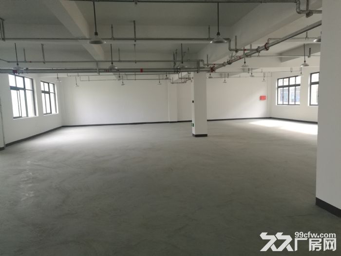 泽雅工业区5楼1800平方米出租-图1