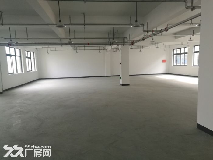 泽雅工业区5楼1800平方米出租-图4