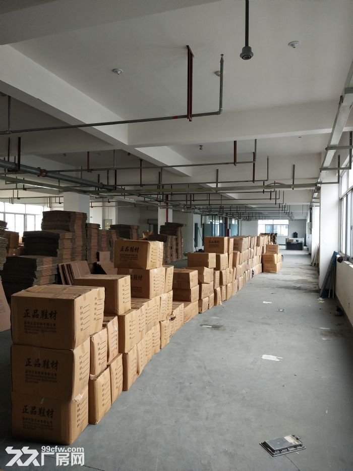 泽雅工业区1楼1000平方2楼2000平方米出租-图1