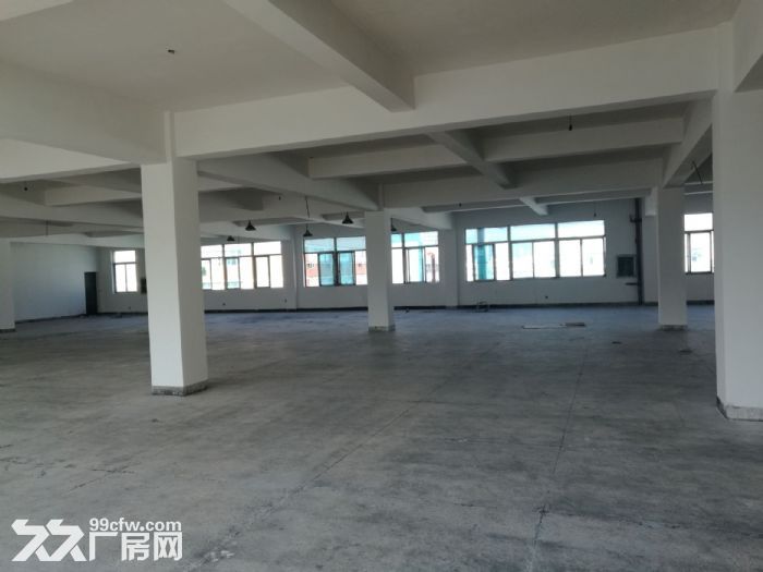 鹿城轻工园区4楼2800平方厂房出租-图3