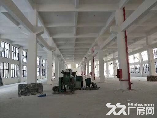 鹿城轻工园区标准厂房1楼300平，2楼2000平出租-图1