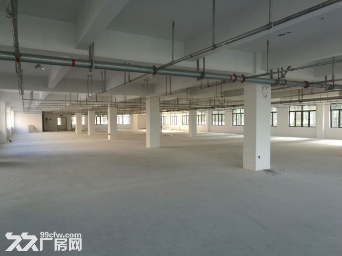 鹿城轻工园区标准厂房1楼300平，2楼2000平出租-图2