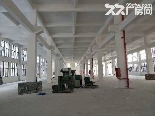 泽雅工业区厂房1楼900平方米-图1