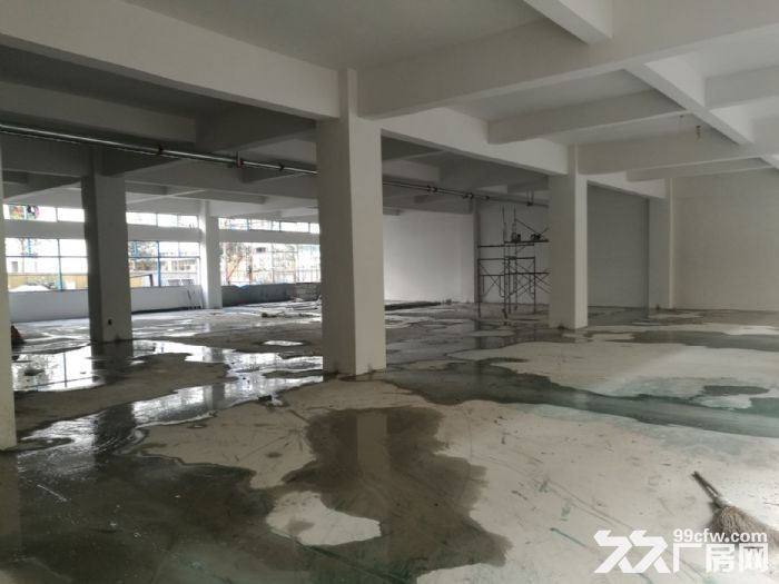 泽雅工业区厂房1楼900平方米-图3