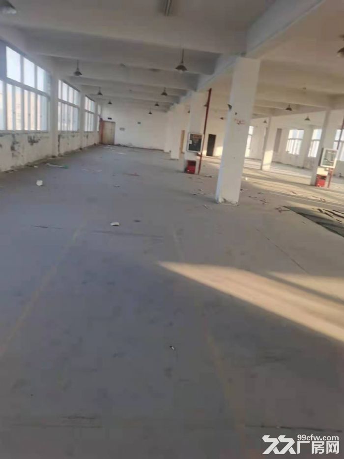 滨海明珠路标准厂房招租-图1