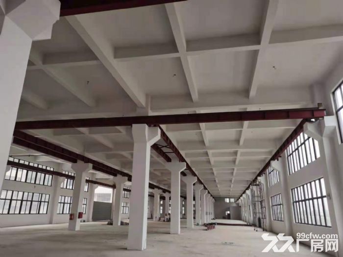 滨海明珠路金海工业园全新厂房招租-图1