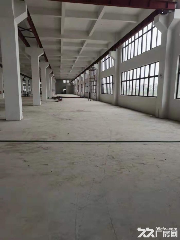 龙湾滨海全新工业厂房招租-图1